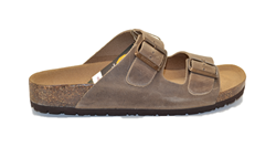 CIABATTA THESIS  R IMB V. CR.HORSE SABBIA